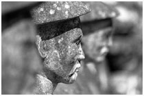 Vietnam Gallery